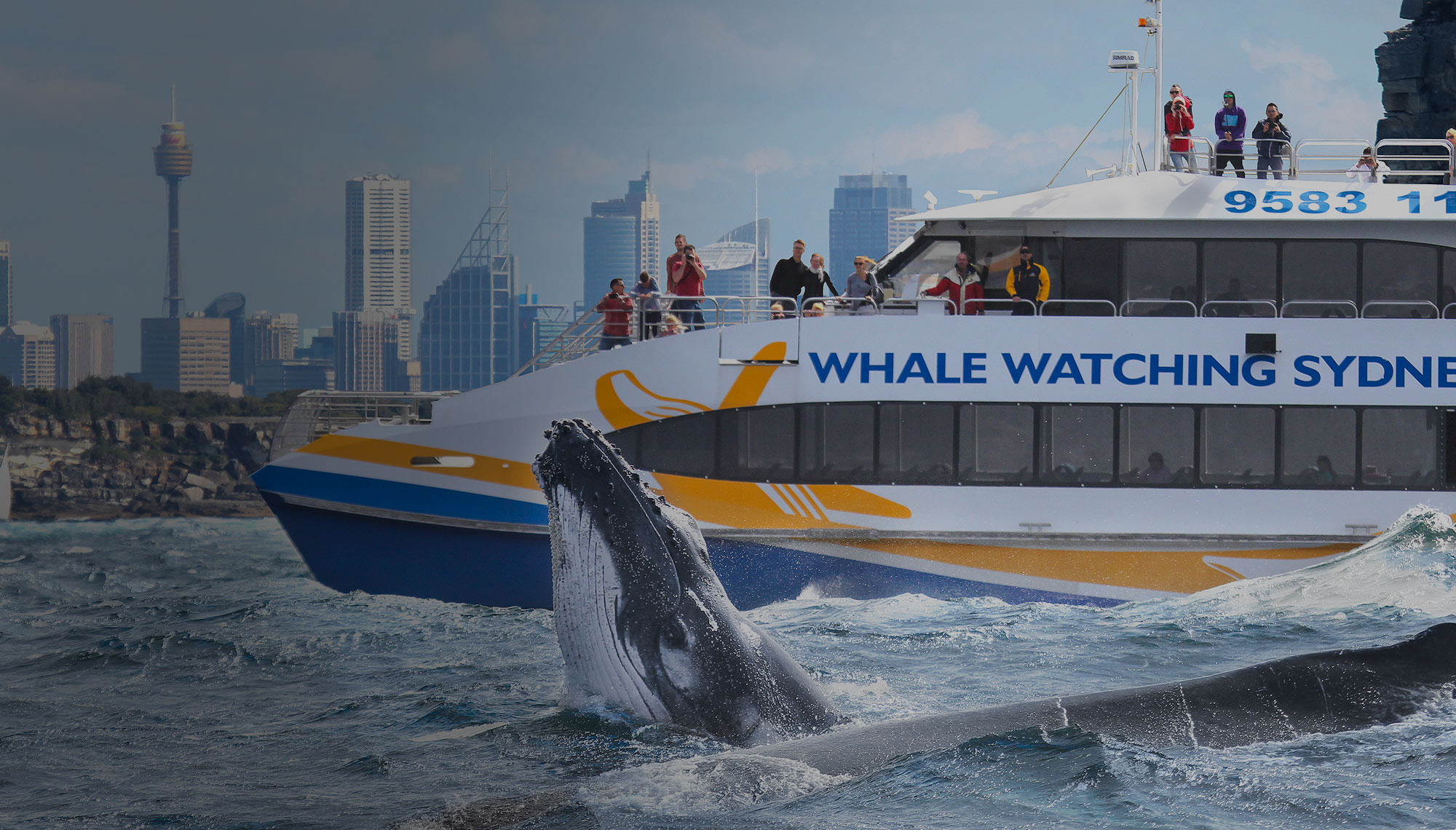 🐋 25 Years Of Experience - Only 15min To Ocean - Whale Watching Sydney
